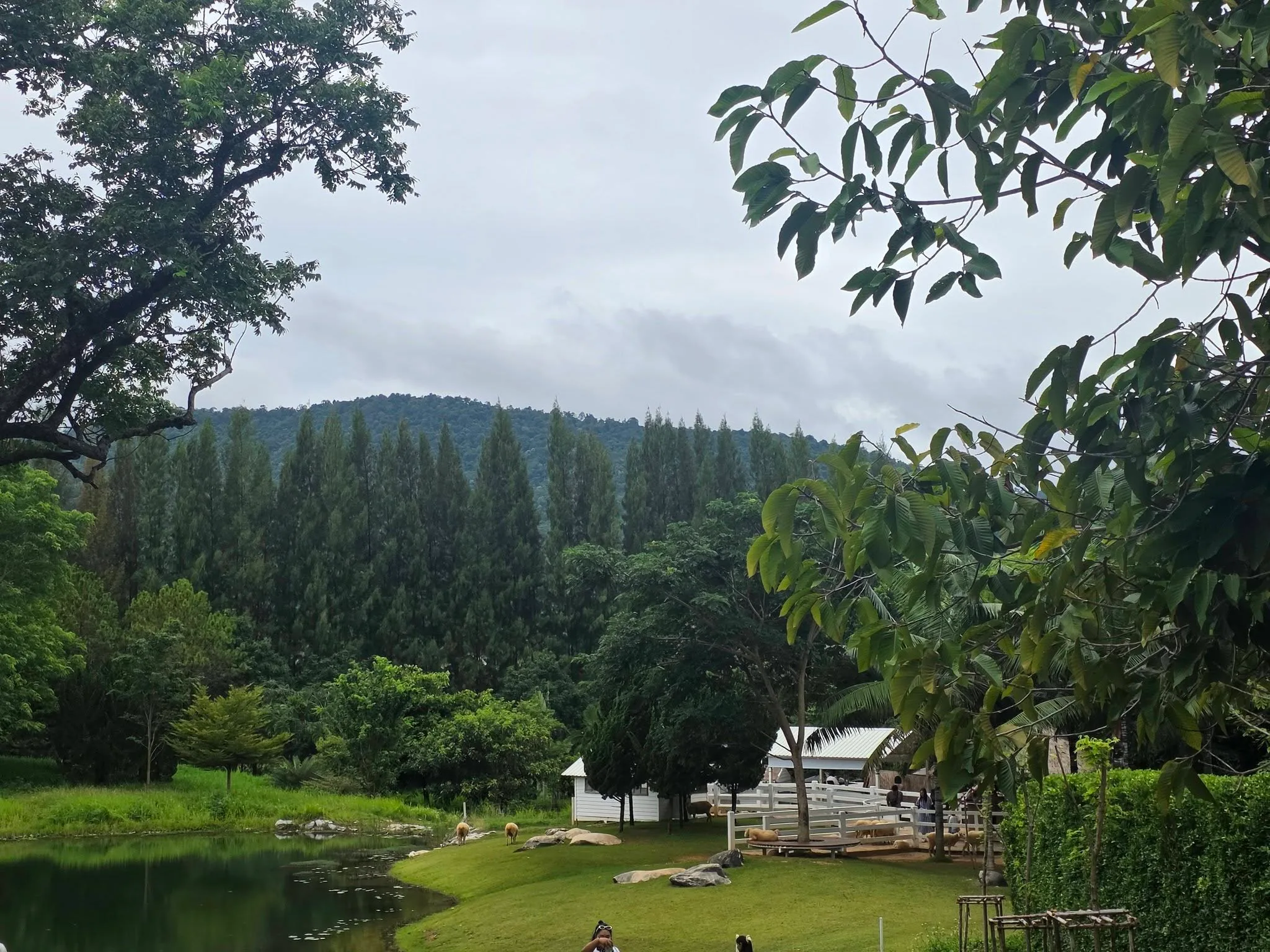 Khao Yai trip photo